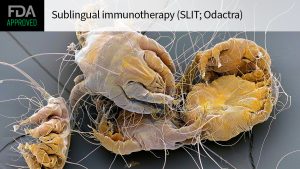 FDA OKs Dust Mite Allergy Drug for Young Kids