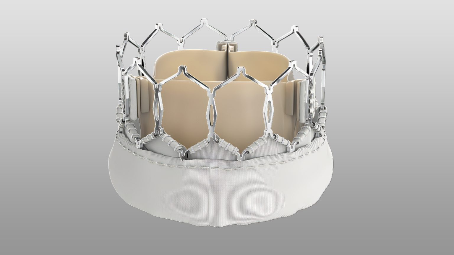 Embattled TAVR Device Myval Meets Expectations in Trial, but Trouble Still Ahead