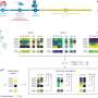 Real-time DNA analysis during neurosurgery offers personalized brain tumor treatment