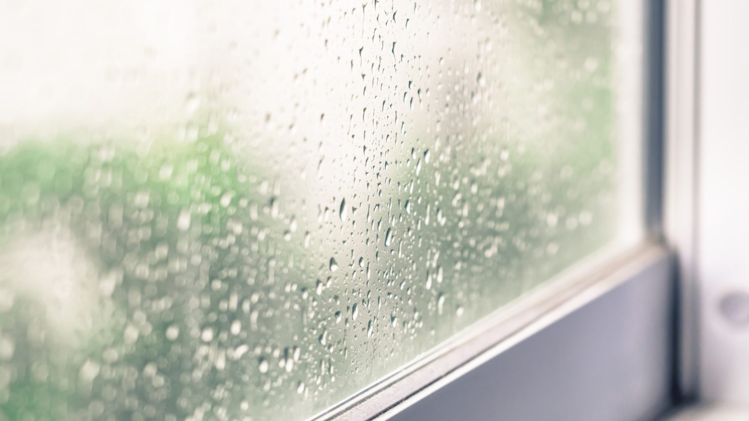 Should You Avoid Using Rain-X On Your House Windows?
