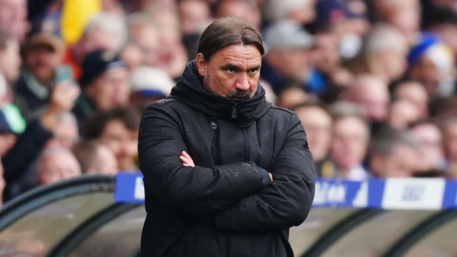 Leeds United consider Daniel Farke sack despite promotion