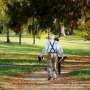 Resistance exercise may be best type for tackling insomnia in older age, data analysis suggests