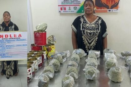 NDLEA intercepts N3.4 billion worth of opioids, codeine in Lagos and Port Harcourt 