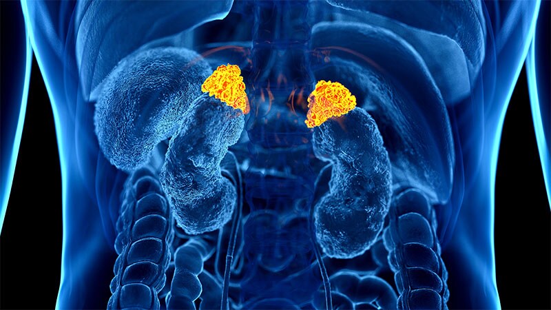 Popular Urine Test Predicts Death Risk in Adrenal Adenomas