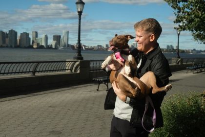 AI technology helps reunite lost dogs with their owners