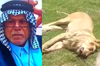 Man brutally k!lled by pet lion days after buying  it to keep in his garden