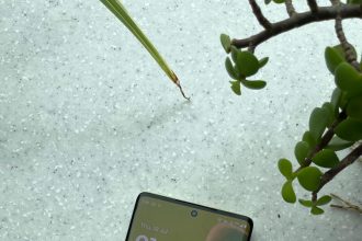 Moto G85 selling at a huge discount