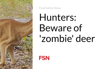 Hunters: Beware of ‘zombie’ deer
