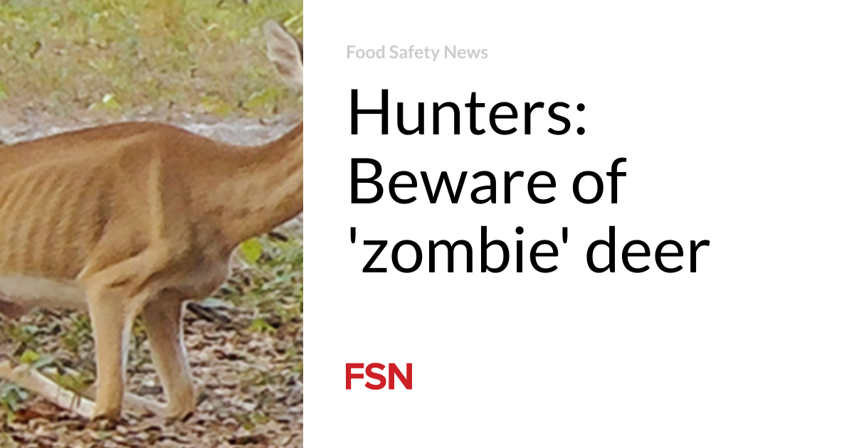 Hunters: Beware of ‘zombie’ deer