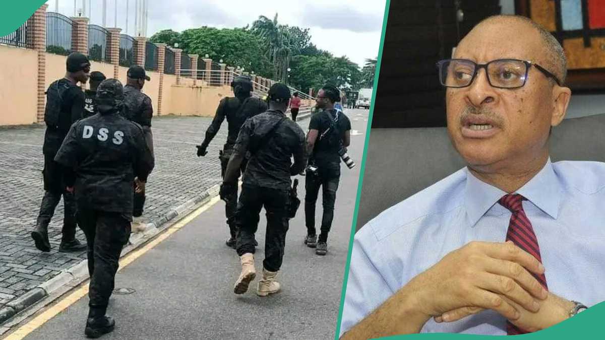 Breaking: Pat Utomi dragged to court by DSS over alleged unconstitutional actions