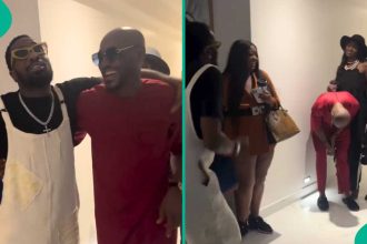 2baba and Natasha visit Dbanj, Koko Master ignores Tuface’s wife: “Bangalee no see Nee Idibia?”