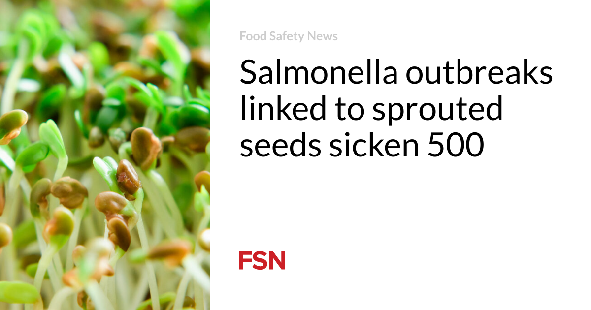 Salmonella outbreaks linked to sprouted seeds sicken 500