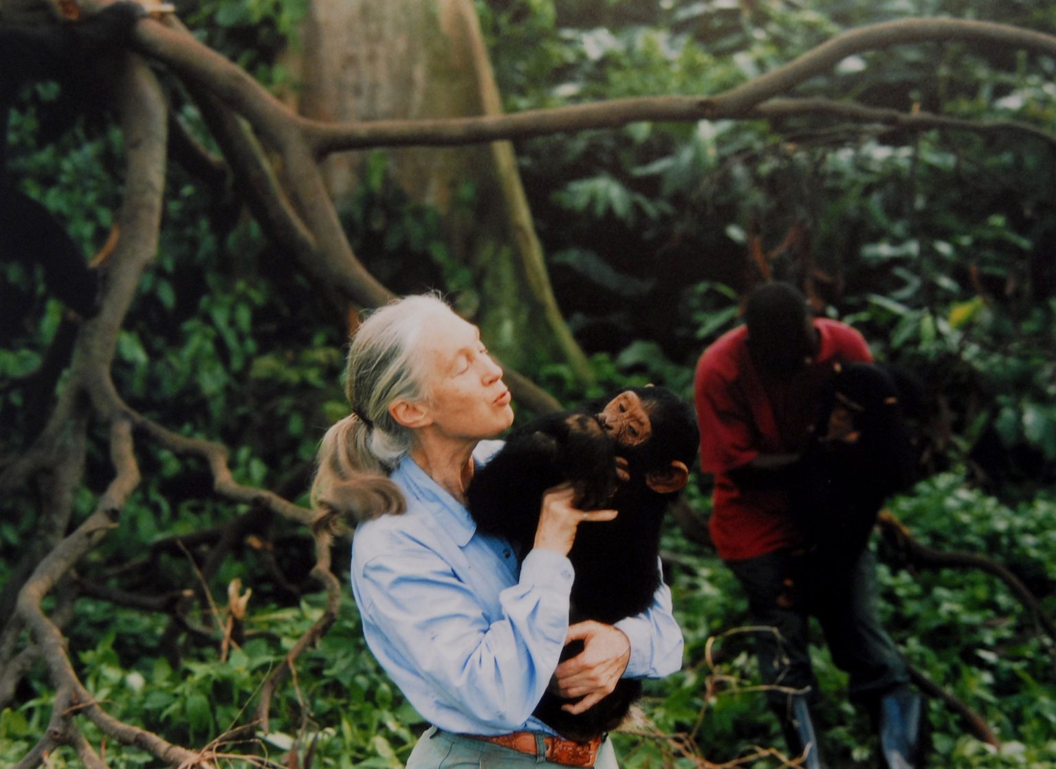 11 Best Nature Documentaries on Netflix, Hulu, and More (2025)