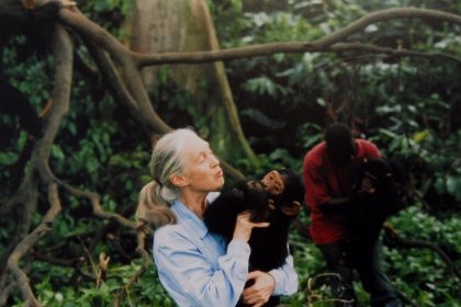 11 Best Nature Documentaries on Netflix, Hulu, and More (2025)