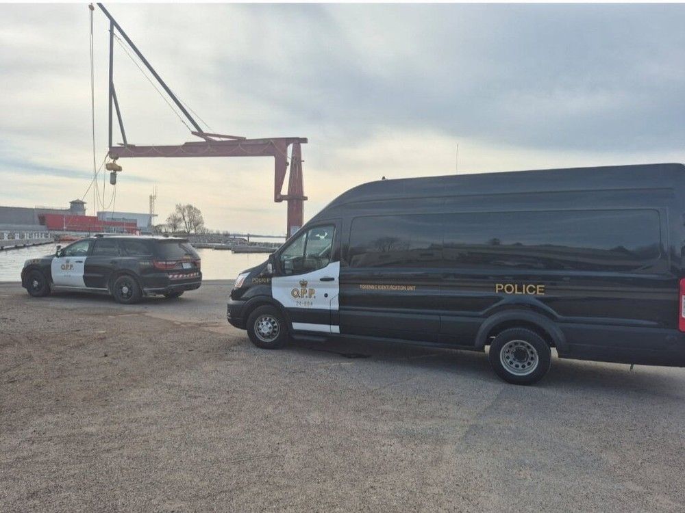 Body of missing diver recovered from water along Kingston shoreline