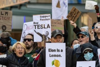 Tesla’s Q1 results show the financial cost of Musk’s support for Trump