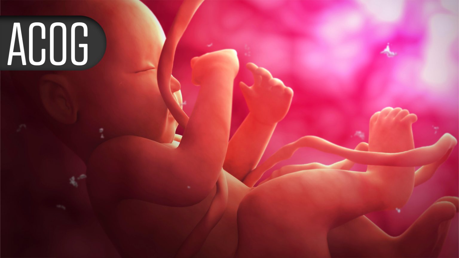 After Roe Fell, North Carolina Saw Spike in Out-of-Staters Seeking Abortion Care