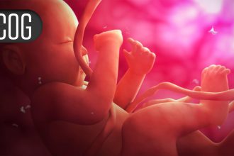 After Roe Fell, North Carolina Saw Spike in Out-of-Staters Seeking Abortion Care