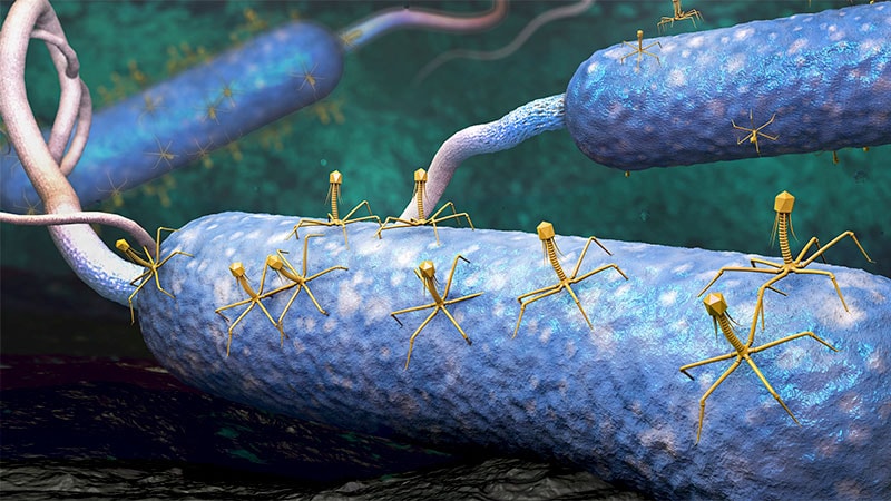 Gut Microbiome: Much More Than Bacteria