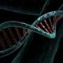 Common genetic variants linked to drug-resistant epilepsy