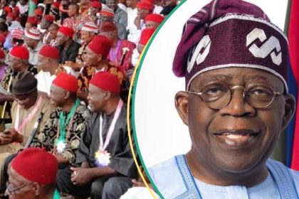 2027: Ohanaeze, Southeast stakeholders endorse Tinubu for second term