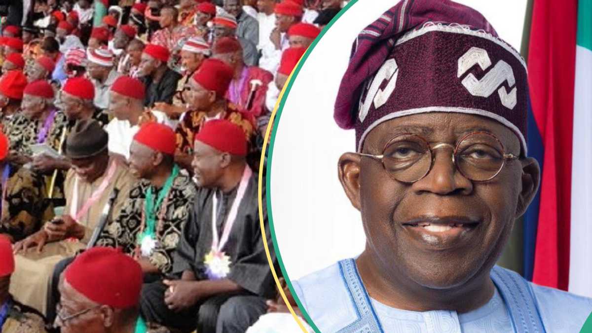 2027: Ohanaeze, Southeast stakeholders endorse Tinubu for second term