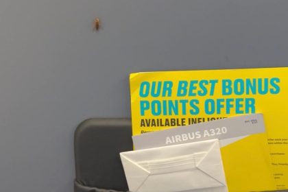Flight passenger spots cockroaches crawling in airplane cabin: ‘Never again’