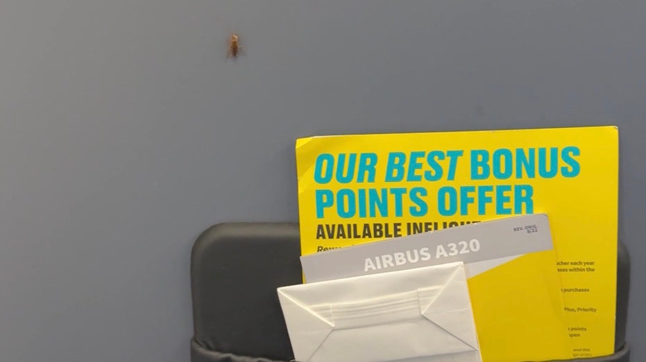Flight passenger spots cockroaches crawling in airplane cabin: ‘Never again’