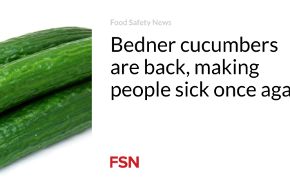 Bedner cucumbers are back, making people sick once again
