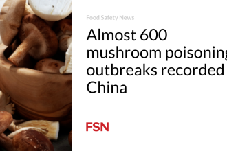 Almost 600 mushroom poisoning outbreaks recorded in China