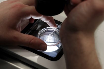 Trump Reviewing IVF Policy Recs Promised in Executive Order, White House Says