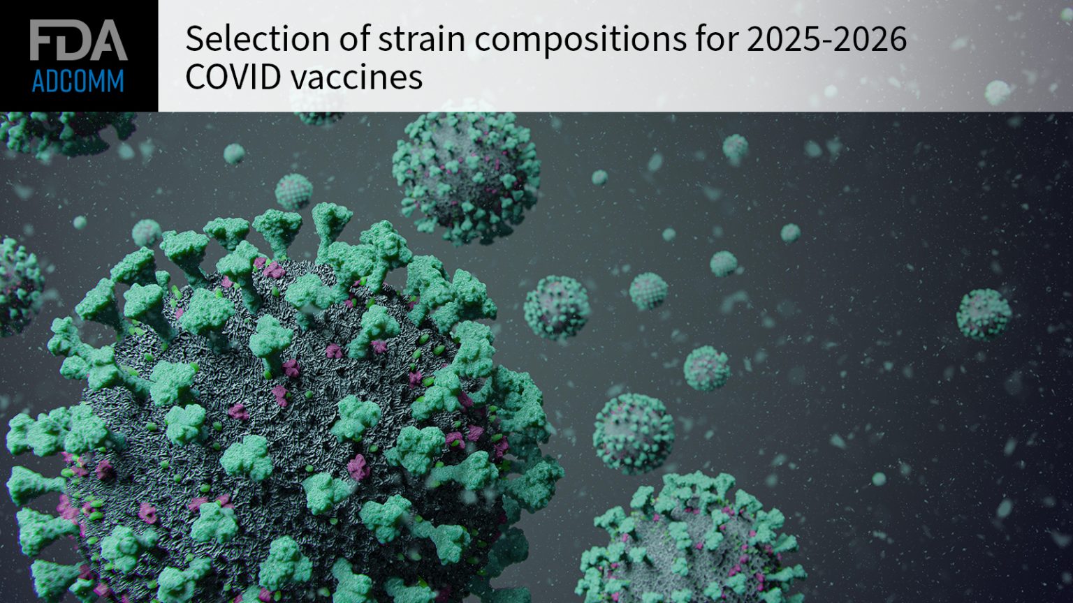 FDA Panel to Consider COVID Vaccine Makeup for Next Season