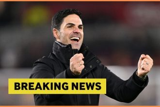 Sopa opera is over: Local media claims 26-year-old will play for Arsenal next season