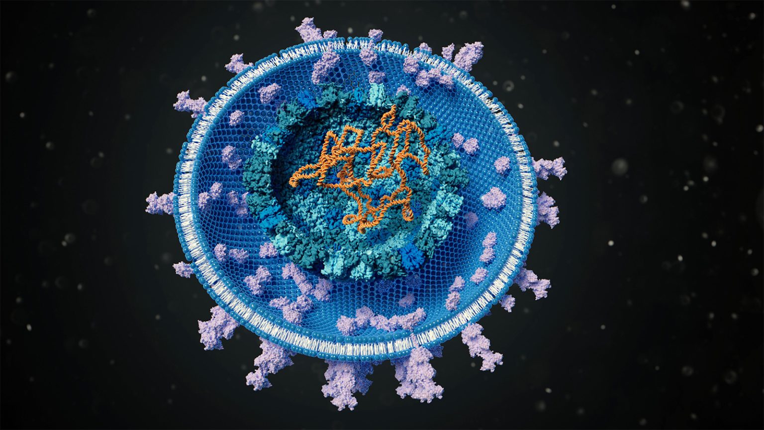 Link Between Viral Infection and Alzheimer’s Emerges in New Data