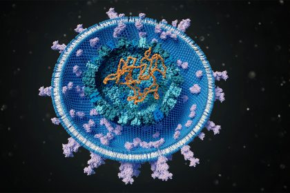 Link Between Viral Infection and Alzheimer’s Emerges in New Data