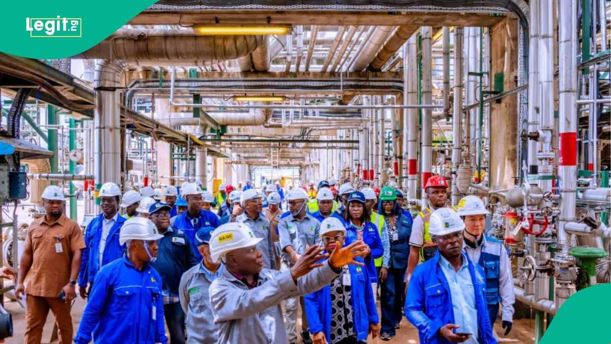 PH refinery sends warning to staff. threatens heavy sanctions as 30-day maintenance kicks off