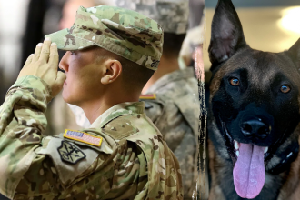 Fallujah vet turns Medal of Heroism into a healing mission for fellow warriors with service dogs program