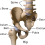 Using testosterone gel to treat women recovering from hip fractures provides no added benefits, clinical trial finds