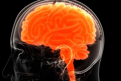 Traumatic Brain Injury Assessment Gets an Overhaul
