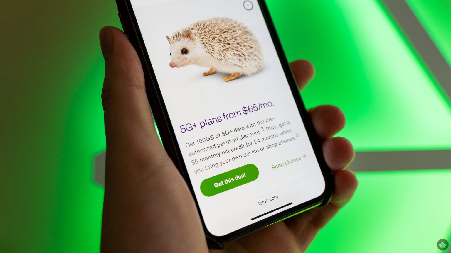 Telus raises plan prices again, adds $5/mo credit