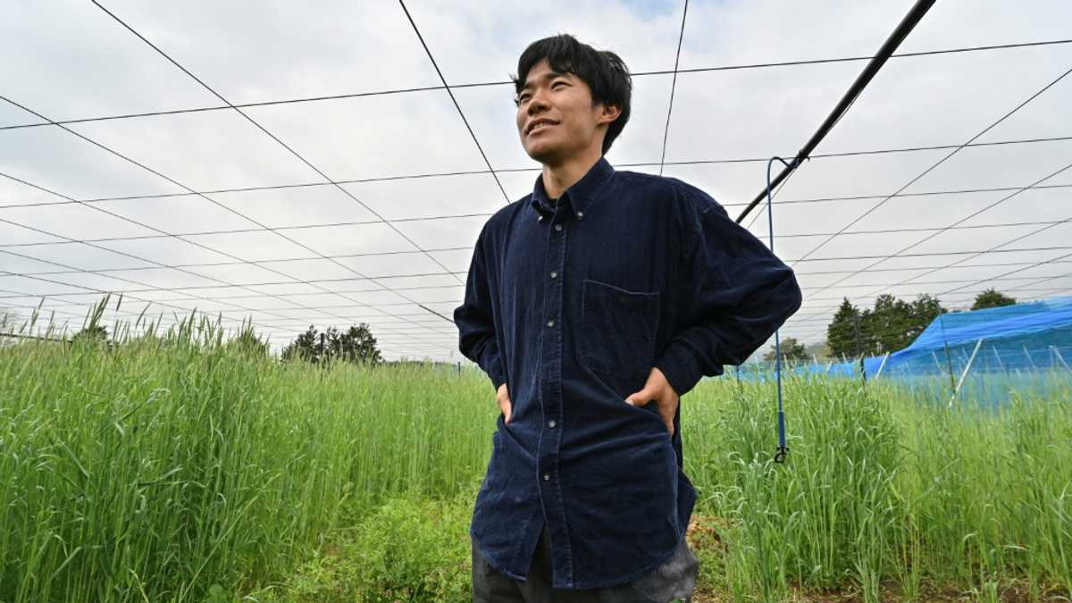 ‘Moving forward’: the Gen-Z farmer growing Fukushima kiwis