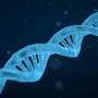 Genetic investigations reveal reason for severe neuropathy after infection