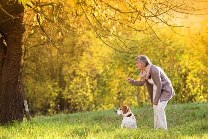 Simple Dog Walks Can Improve Life for Parkinson’s Patients