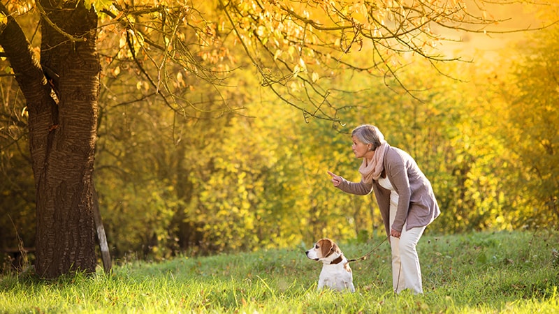Simple Dog Walks Can Improve Life for Parkinson’s Patients