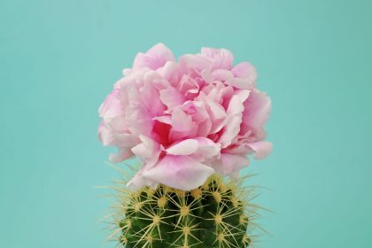How to Be More Positive—Without Faking or Forcing It