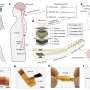 Flexible implant detects pain levels and delivers targeted electrical stimulation wirelessly