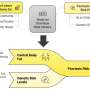 Location matters: Belly fat compared to overall body fat more strongly linked to psoriasis risk