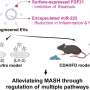 Exosome-based combination therapy shows promise for treatment of metabolically challenging disease MASH