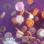 Study reveals novel strategy for in vivo blood stem cell gene therapy