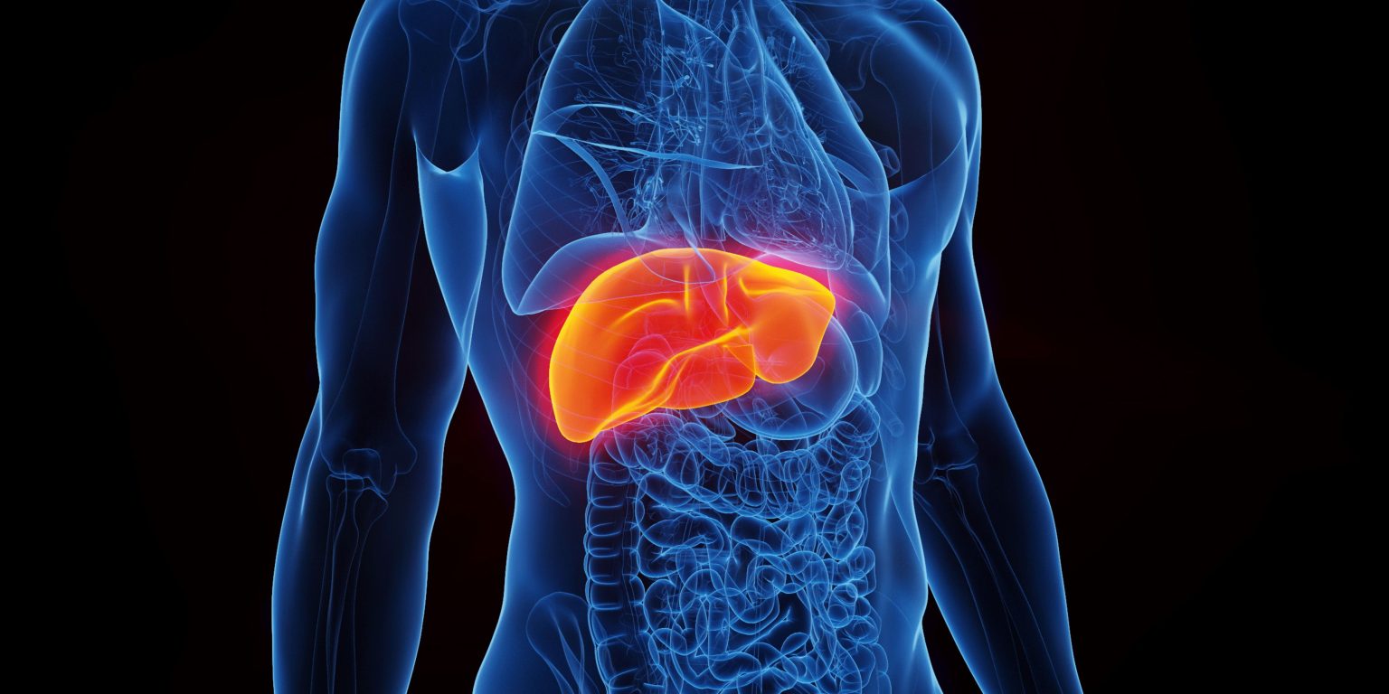 How to Keep Your Liver Strong and What to Do When It’s Off